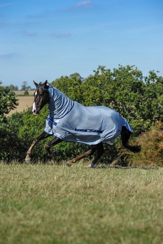 Bucas buzz off fly - buzz-off, rug