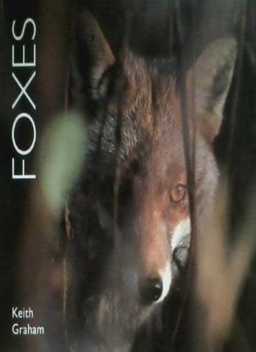 Foxes worldlife - foxes, (worldlife