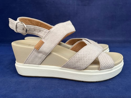 Scholl 2 scenario - 4, light