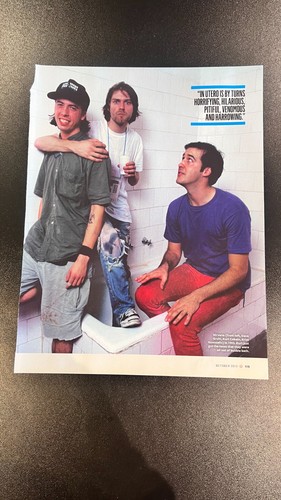 Nirvana poster image 2013 - nirvana,