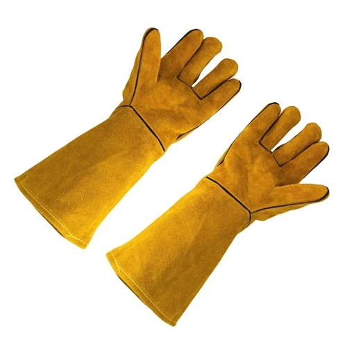 Thorn proof gardening - thorn,