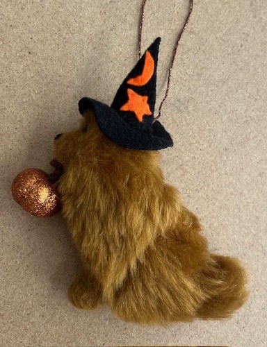 Chow halloween - witch, with