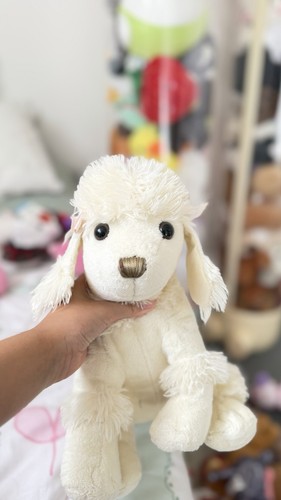 Toy poodle that cream - poodle, is