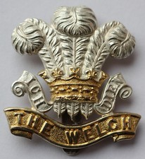 British Army, The Welch