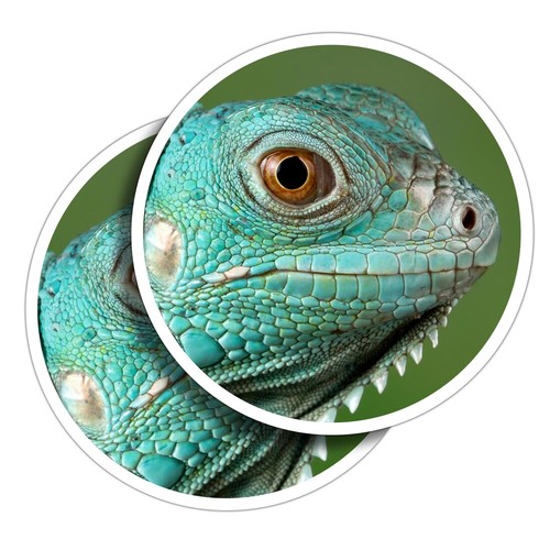Vinyl stickers grand cayman - 2x,