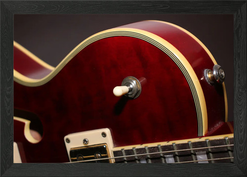 Semi acoustic electric - a,