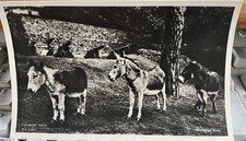 4 postcards of Carisbrooke