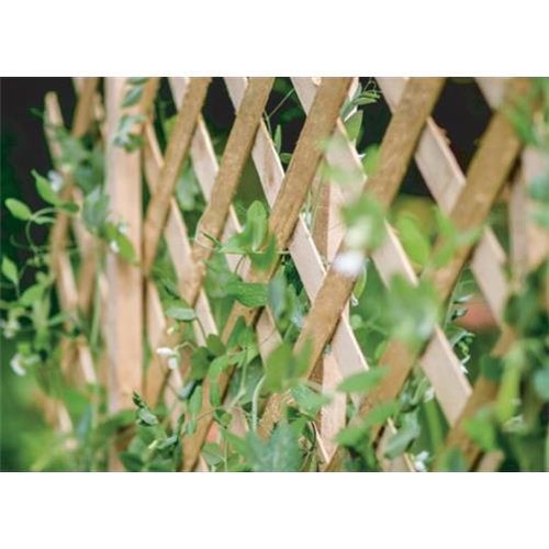 Expanding natural wooden - expanding,