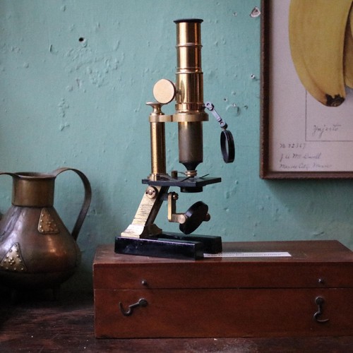 Antique brass field - brass, microscope