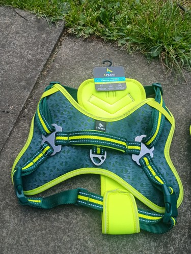 New airflow dog harness - 2,