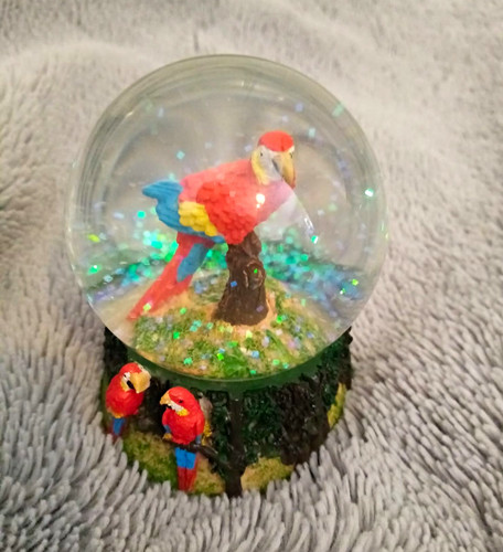 Ravensden parrot glitter water - ravensden,