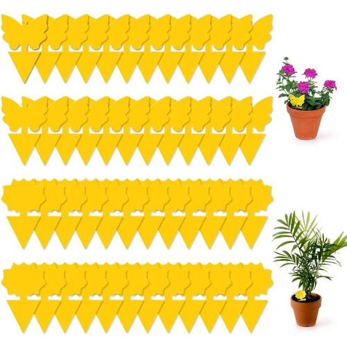 60pk sticky fruit fly traps - 10-60pk,