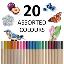 20 PROFESSIONAL COLOURING PENCILS Coloured Pro Artist Art Set Sketching Drawing