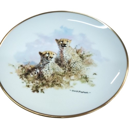 David shepherd cheetah plate - david,