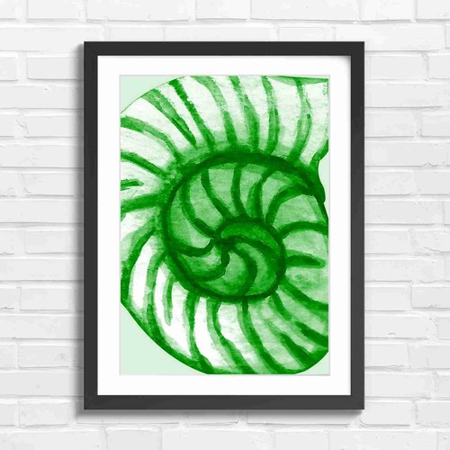 Blue watercolor nautilus - blue,