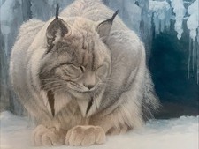 Robert Bateman USA Signed