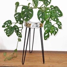 Albasia Wood Plant Stand -