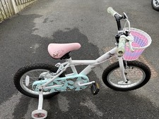 Apollo Butterflies Bike For