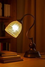 Vintage art deco C-1930s bronze adjustable swan neck desk lamp opaline shade