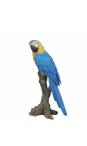 Vivid arts yellow macaw - arts,