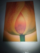 Fine Art Photography By Terry