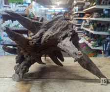 Large Corbo Root Aquarium