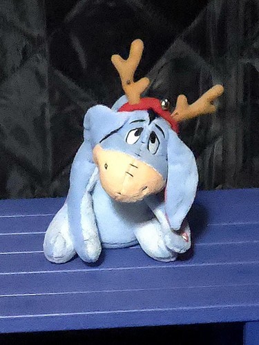 Disney dandee animated - dandee,