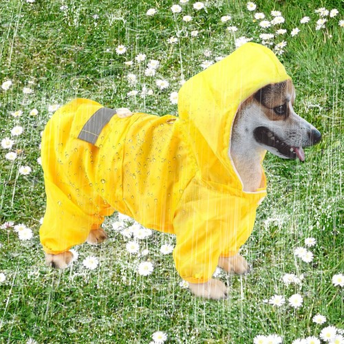 Pet dog raincoat - pet,