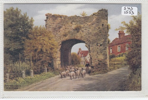 Winchelsea sussex pipewell - winchelsea,