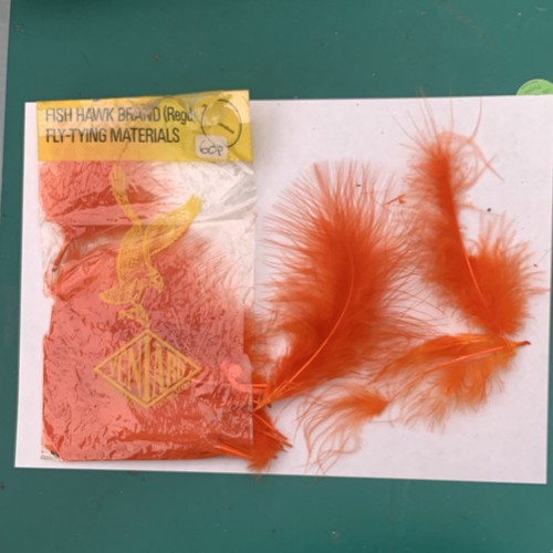 Fish hawk brand - hawk, feather