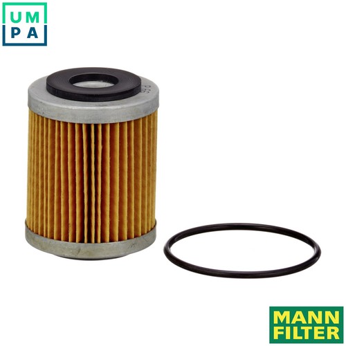 Fuel filter for plaxton - p,