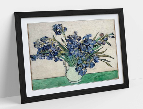 Vincent van gogh irises - vincent,