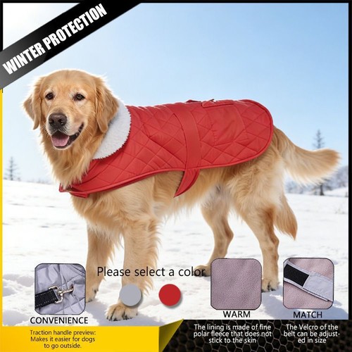 Large dog winter waterproof - dog,