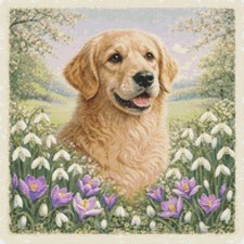 Golden Retriever Puppy Dog In