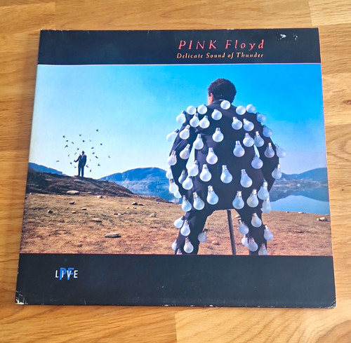 Pink floyd delicate - pink, of