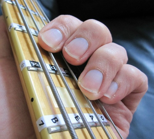Bass guitar fretboard scale - guitar,