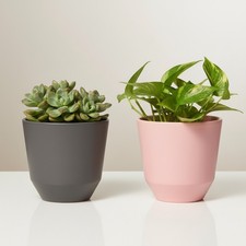 Ceramic plant pot indoor cache - plant,