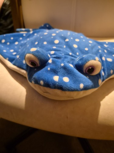 Official disney store - mr, ray