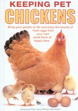 Keeping pet chickens