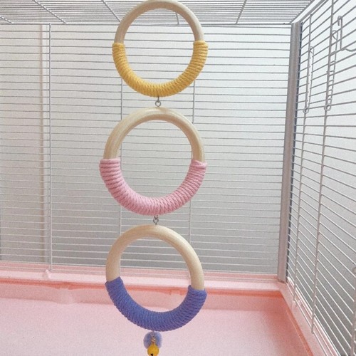 Parrot pole swing - pole, colored