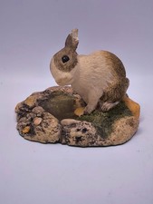 John Beswick Bright Eyes