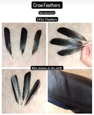 Crow Feathers - corvid shaman