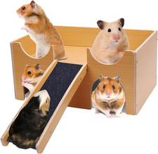 Guinea Pig Hideout House with