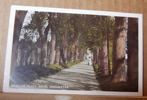 Postcard dorchester dorset - postcard,