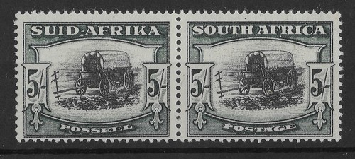 South africa 1933 - south, ox