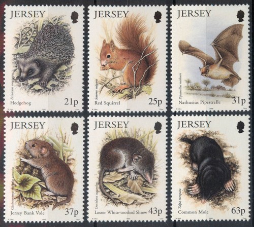 Jersey 1999 nature small - 1999, nature: