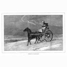 Heywood hardy christmas - hardy, eve