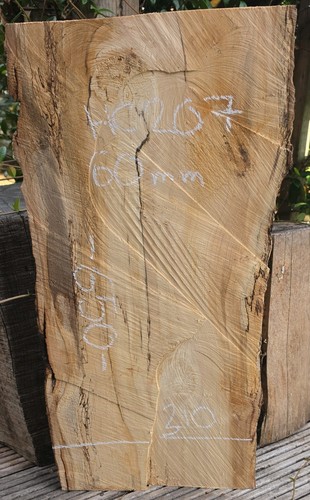 Spalted chestnut live edge - spalted,