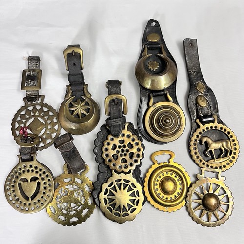 Brass horse medallion lot - horse,
