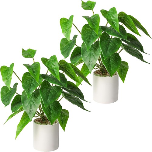 Fake plants ceramic - plants, in